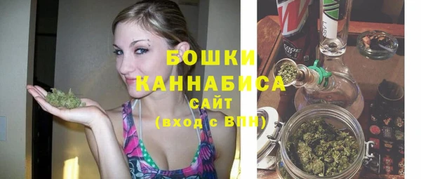 эйфоретик Богданович