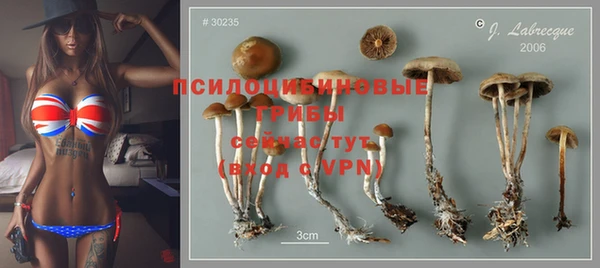 гашик Бородино