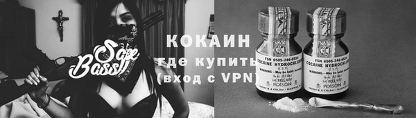 шишки Бронницы