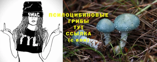 дживик Богородск