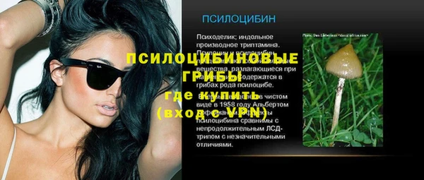 шишки Бронницы