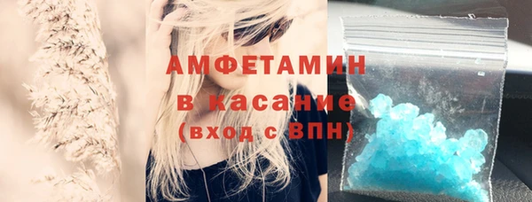 эйфоретик Богданович