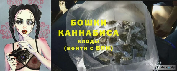 гашик Бородино