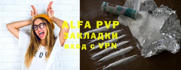 эйфоретик Богданович