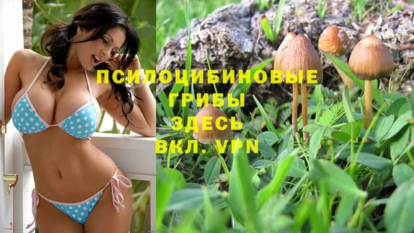 бошки Бугульма