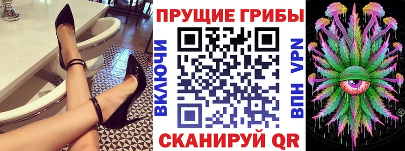 hydra ONION  купить   Сызрань  Галлюциногенные грибы прущие грибы 
